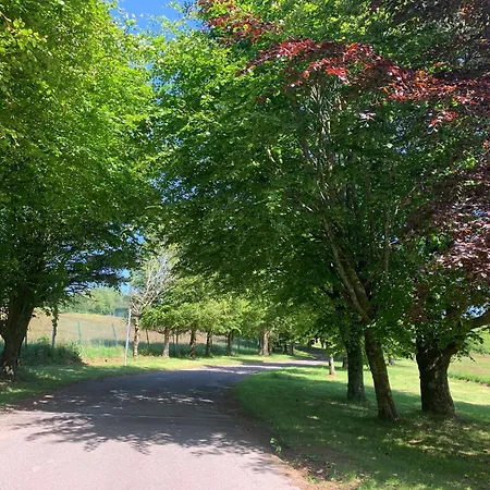 Fernhill 3* Carrigaline